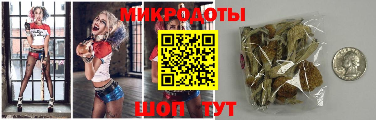 Анжеро-Судженск  Псилоцибиновые грибы Psilocybe  Вход с VPN 